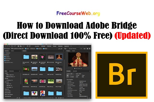 How to Download Adobe Bridge in 2022 (Direct Download 100% Free)