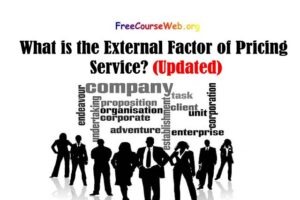 Read more about the article What is the External Factor of Pricing Service?
