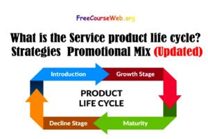 What is the Service product life cycle? Strategies for a Promotional Mix