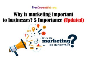 Read more about the article Why is marketing important to businesses? 5 Importance of Marketing in 2022