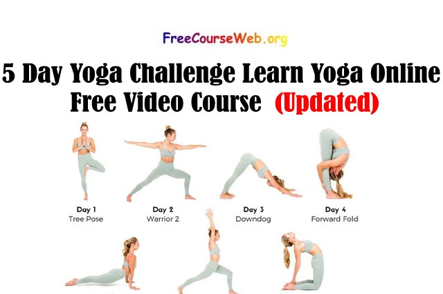 5 Day Yoga Challenge Learn Yoga Online Free Video Course 