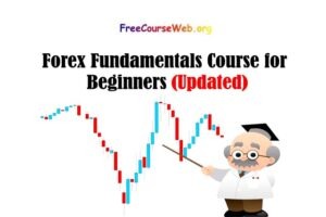 Forex Fundamentals Course for Beginners