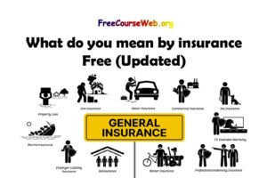 What do you mean by insurance Free in 2024