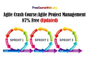 Agile Crash Course:Agile Project Management 87% Free
