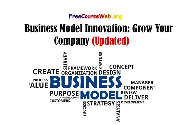 Business Model Innovation: Grow Your Company